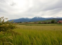 vento forte in veneto attenzione sulle aree montane e pedemontane 1774888295